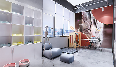 昭通市纤芊宠物用品装建设计