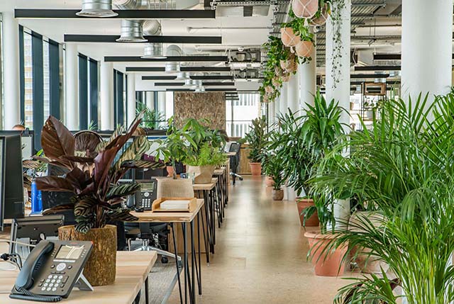 昭通装建设计公司