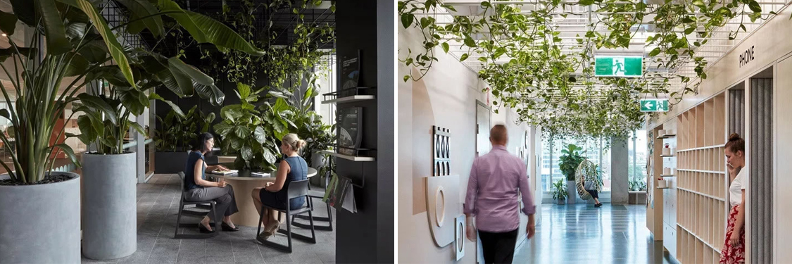 昭通装建设计公司