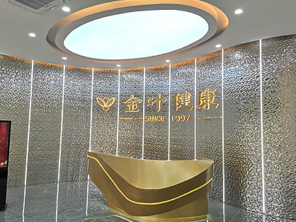 昭通金叶健全科技办公装建项目圆满落成