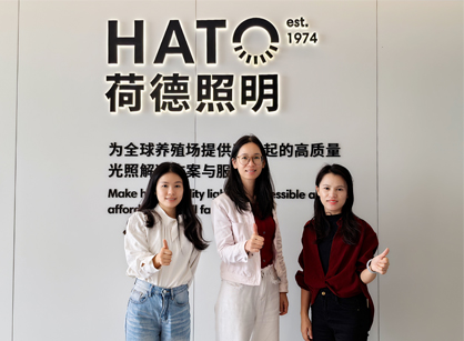 灯光照明行业办公空间焕新就来钱柜qg777官方网站装璜