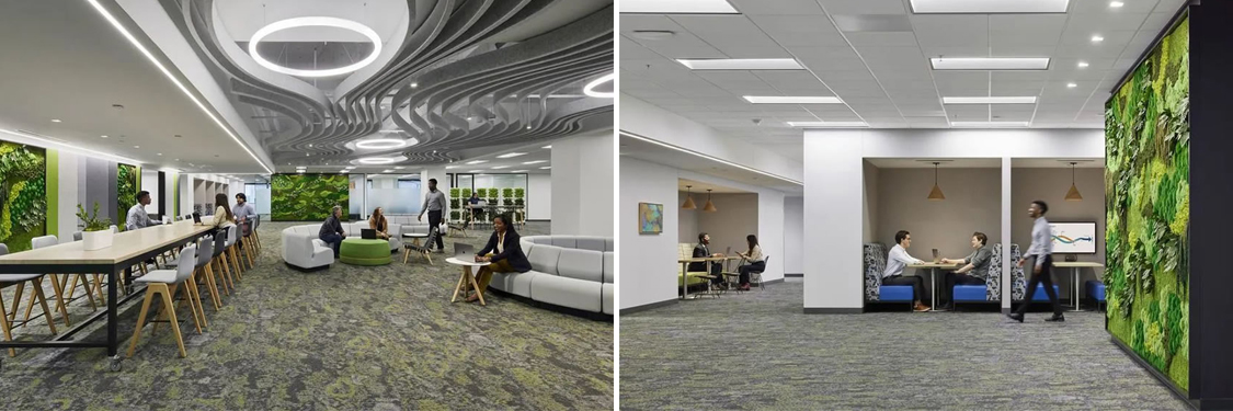 昭通装建设计公司